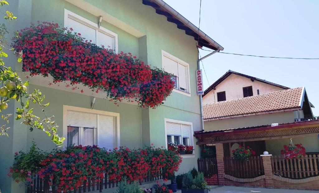 Ana Apartment Gračac Exterior foto